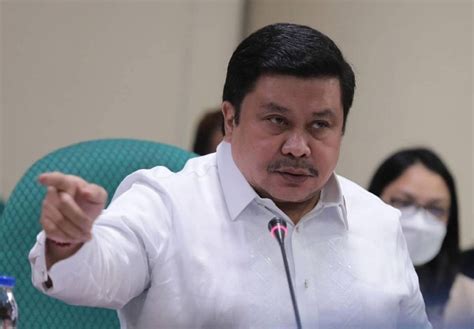 jueteng ligaho|Senator Jinggoy files bill to legalize jueteng .